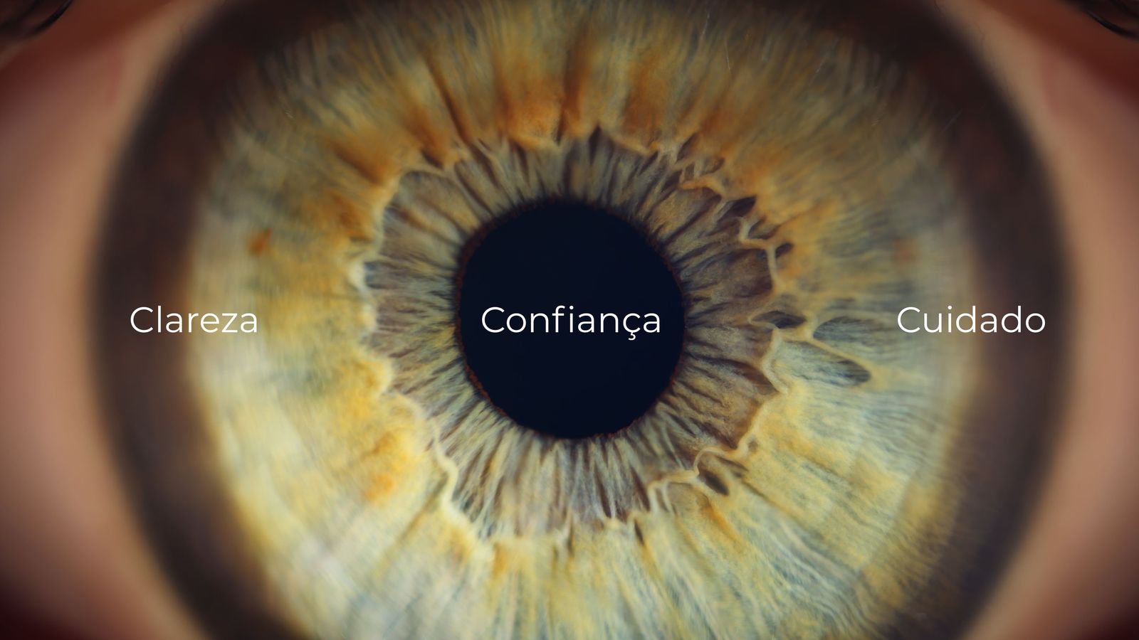 Valores da marca, clareza, confiança e cuidado, sobre fotografia macro de uma íris humana