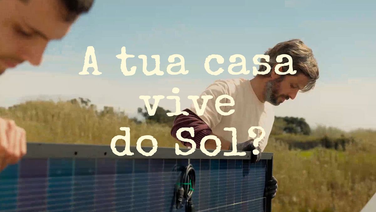 Website da Pequena Grande Casa, empresa de energia solar nos Açores